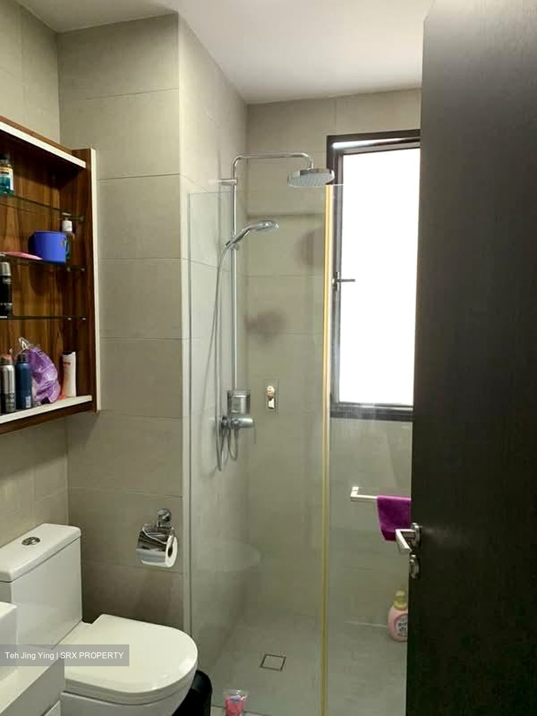 Neem Tree (D12), Apartment #553580371
